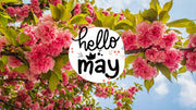 may newsletter